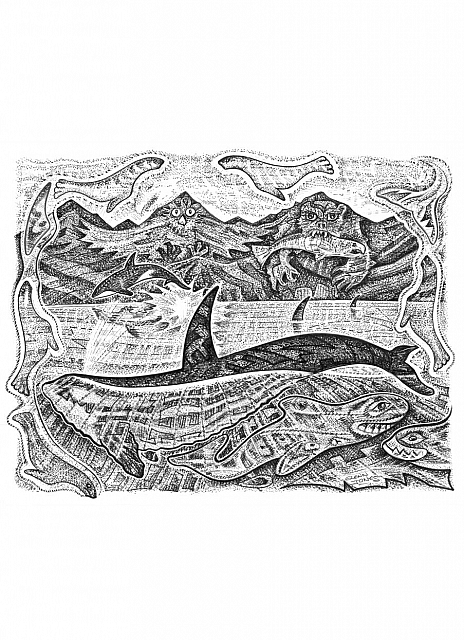 Orca - Black & White