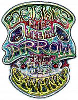 Time Flies Like an Arrow